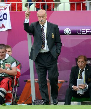 Spain coach Del Bosque will prepare for tough match
